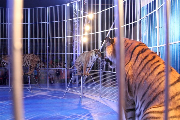 Atlantis Circus
